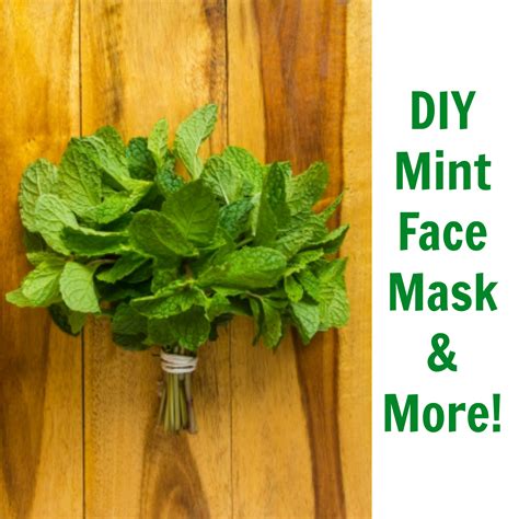 herb mint face mask.